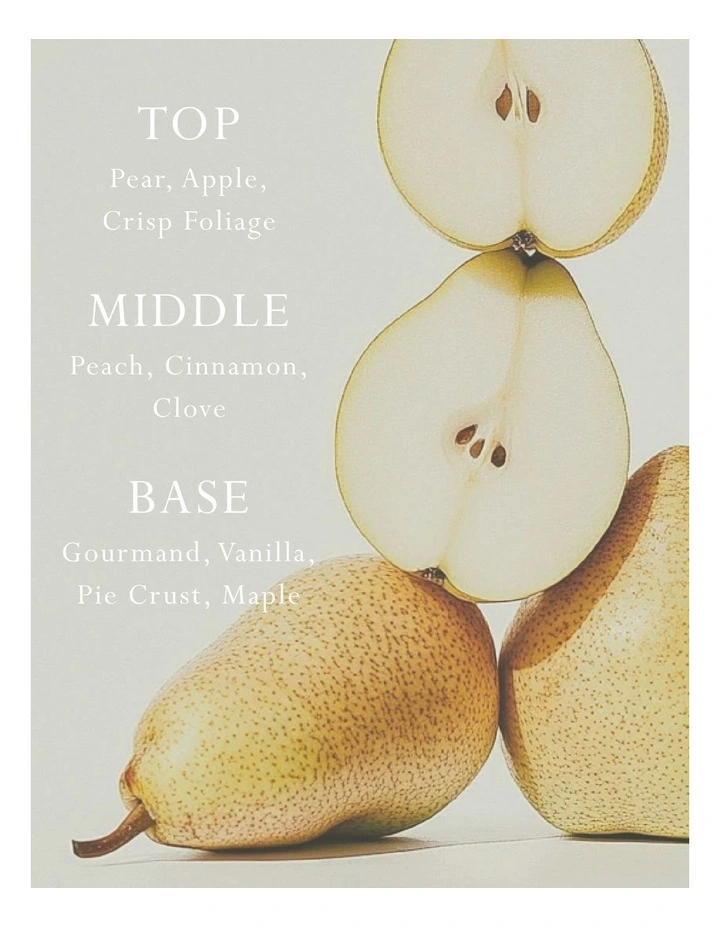 Italian Pear Car Diffuser - Fragrance Disc Refill image 2