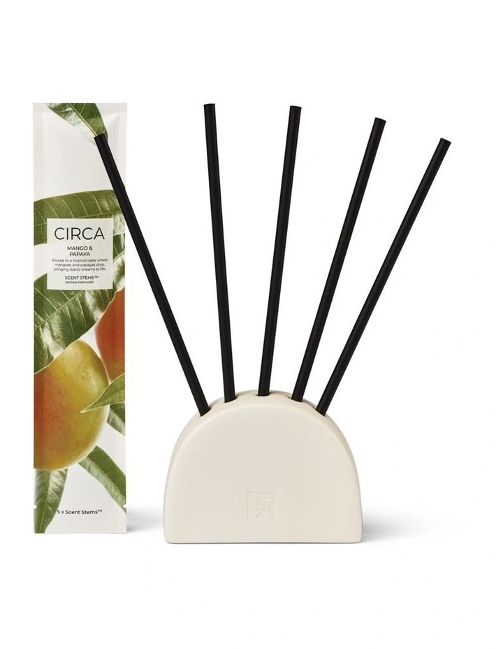 Mango and Papaya Scent Stems Refill image 2