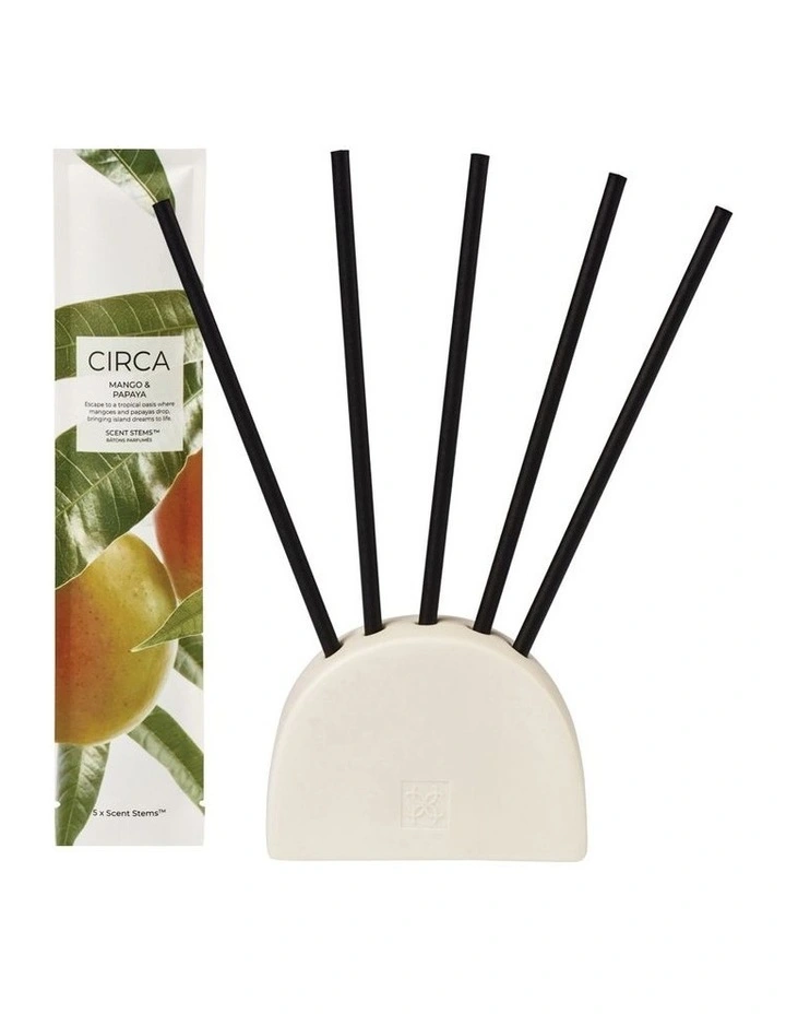 Mango and Papaya Scent Stems Refill image 2