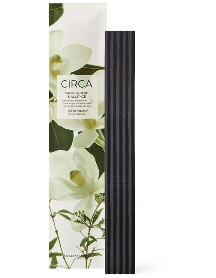 Vanilla Bean & Allspice Refill Scent Stems image 1