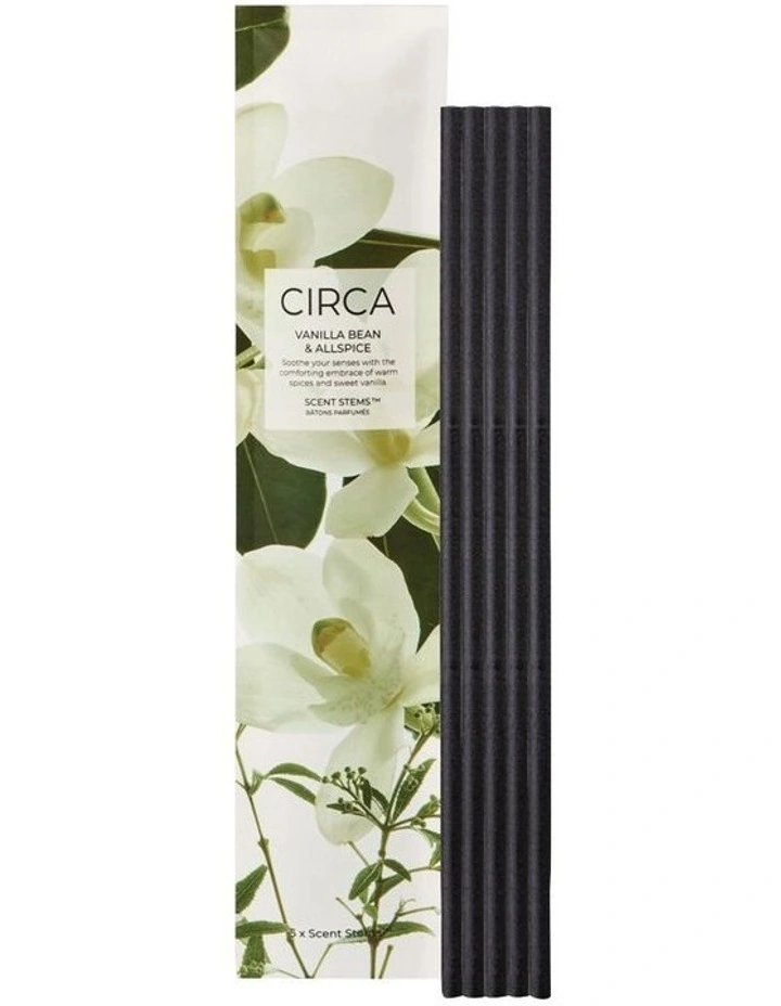 Vanilla Bean & Allspice Refill Scent Stems image 1