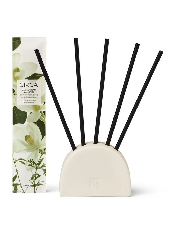 Vanilla Bean & Allspice Refill Scent Stems image 2