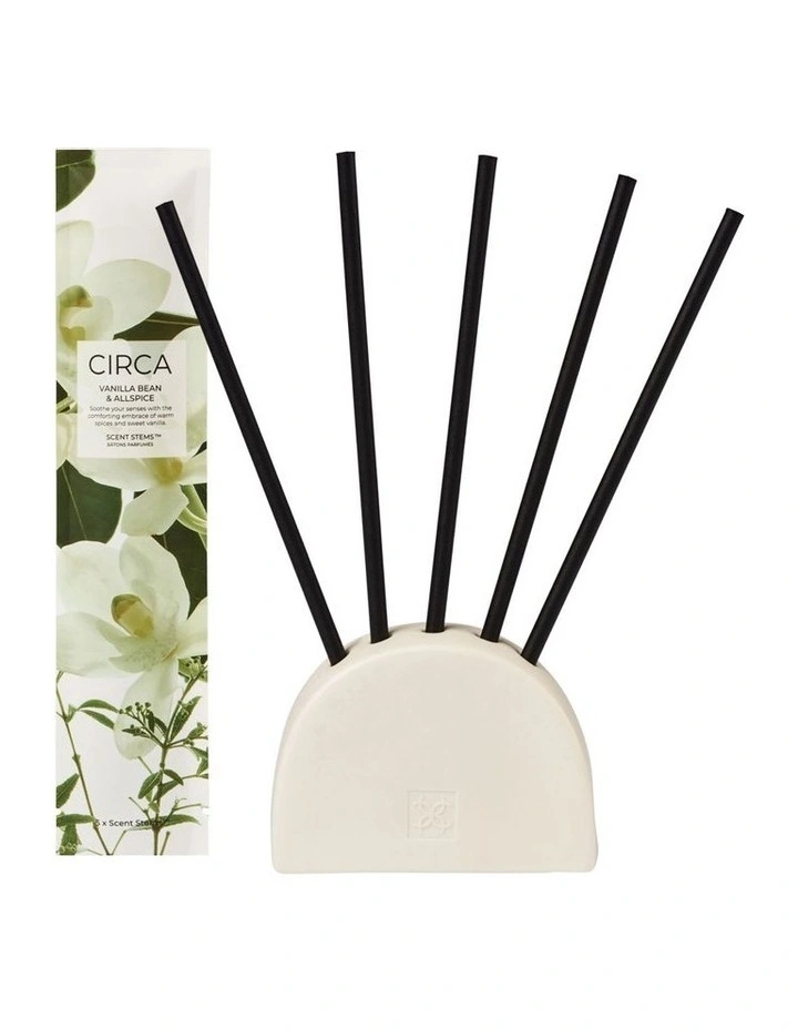 Vanilla Bean & Allspice Refill Scent Stems image 2