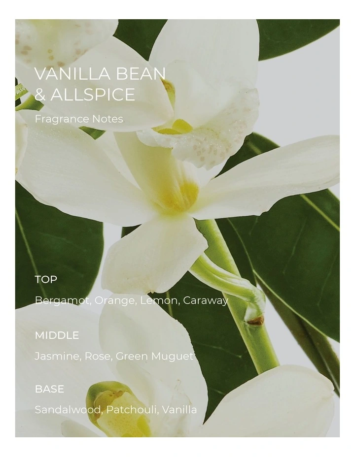 Vanilla Bean & Allspice Refill Scent Stems image 4