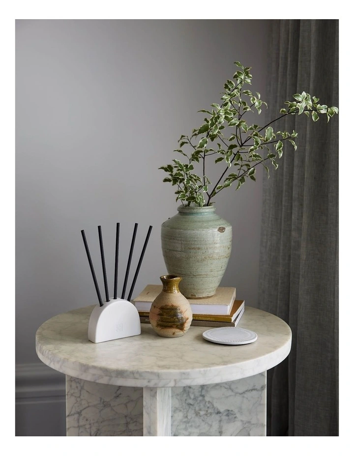Vanilla Bean & Allspice Refill Scent Stems image 6