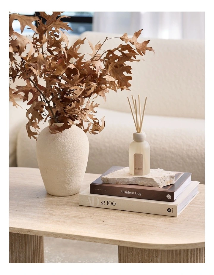 Reed Diffuser Apricot & Sweet Fig image 2