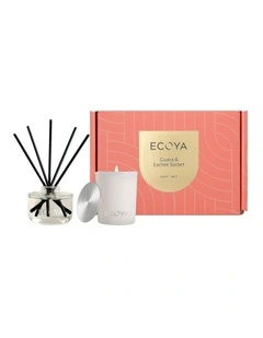 The Mini Duo Guava And Lychee Sorbet Set