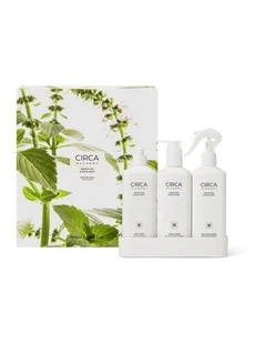 Alchemy White Tea & Wild Mint Kitchen Trio Kit 900mL