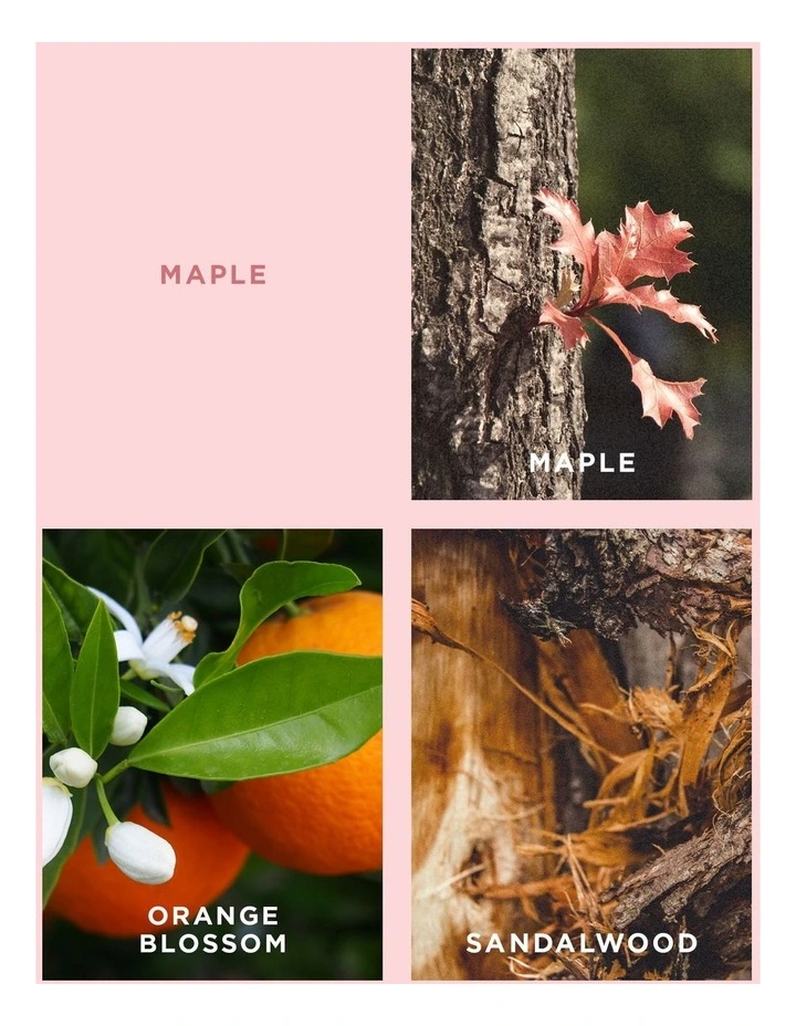 Maple & Patchouli Reed Diffuser 200ml image 4