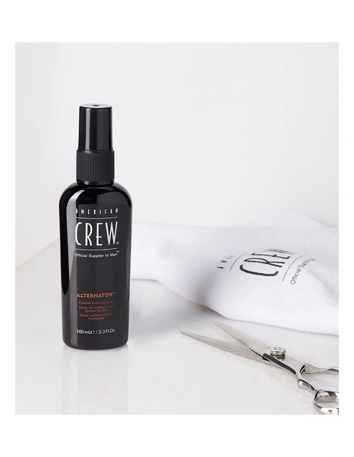 Alternator Finishing Spray 100ml image 2