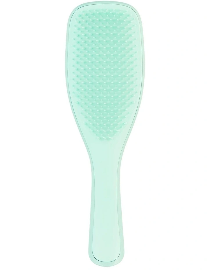The Ultimate Detangler Fine & Fragile Mint image 1