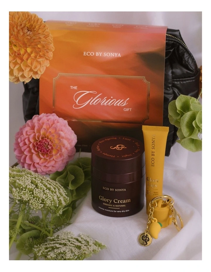 The Glorious Gift image 2