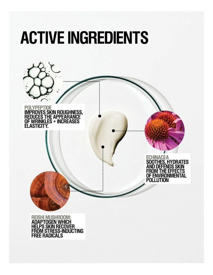 Skin Renewal Night Cream 40ml image 6