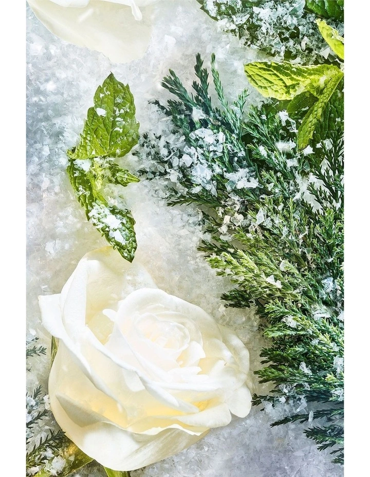 Isola Snow Parfum 50ml image 3