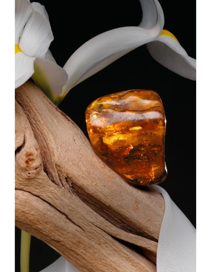 Stellar Silk Absolu De Parfum 100ml image 7
