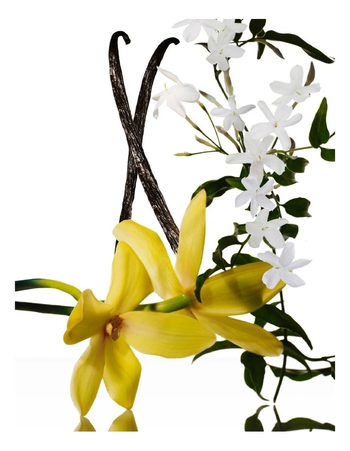 Jasmine Musc Intense Eau De Parfum 100ml image 5