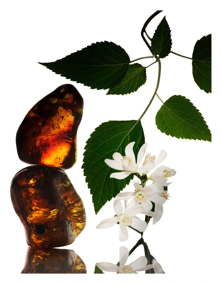 Amber Musc Eau De Parfum Intense 100ml image 5