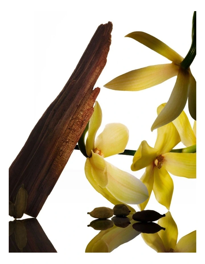 Santal Musc EDP Intense 100ml image 4