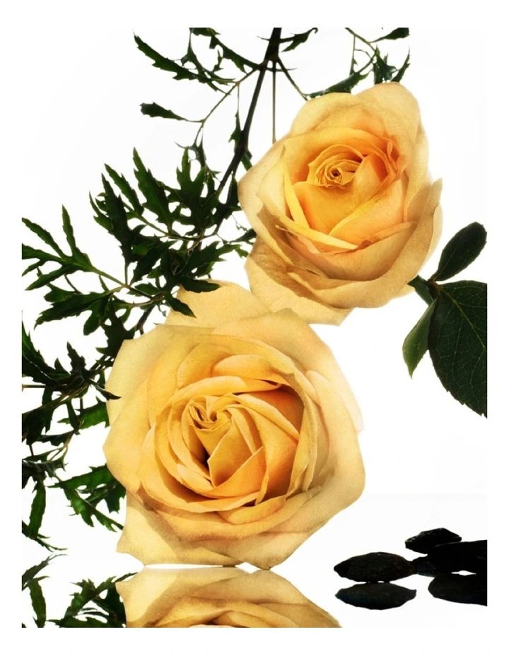 Rose Epicee Eau De Parfum Intense 100ml image 6