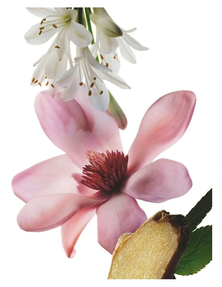 Radiant Magnolia Eau De Parfum Intense 100ml image 6