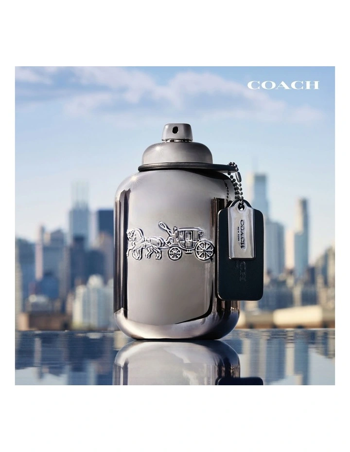 Pure Platinum Parfum image 4