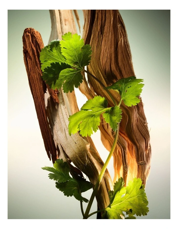 Wood Essence Parfum image 4