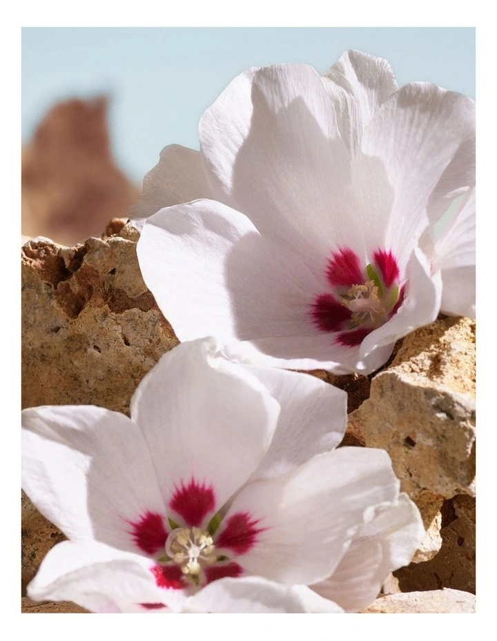 K Pour Homme Elixir 50ml image 5