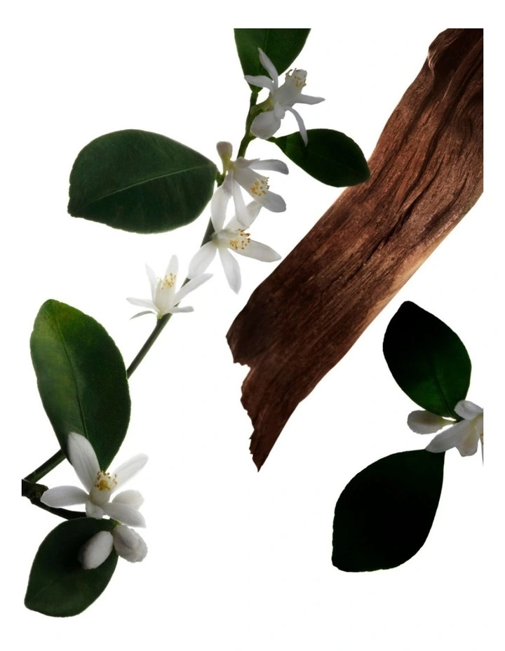Neroli Essence EDP Intense 100ml image 5