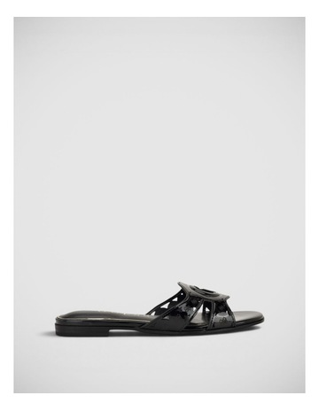 Black colour