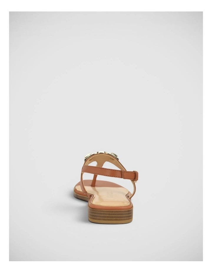 Ramiry Thong Sandals in Medium Brown image 5