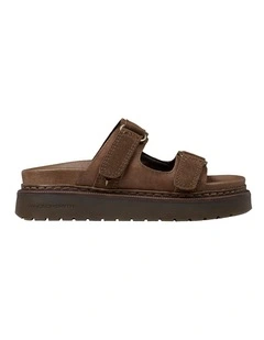 COLLECT DARK BROWN