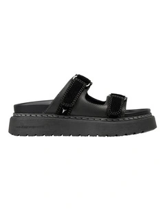 COLLECT BLACK