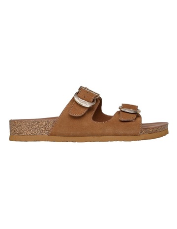 CSNT Chestnut colour