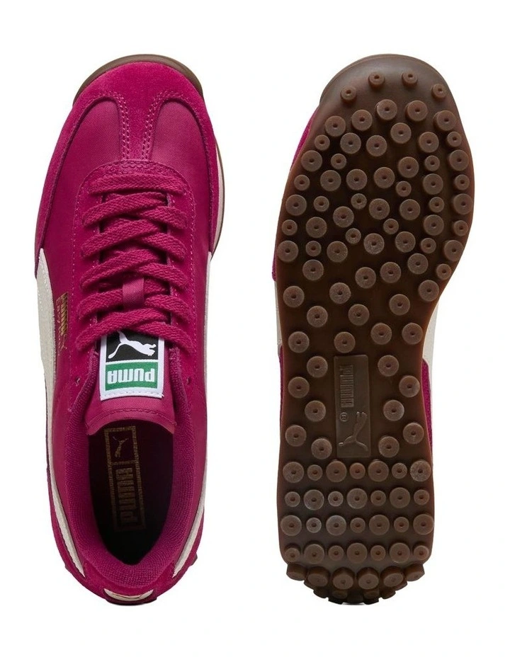 Easy Rider Vintage image 6