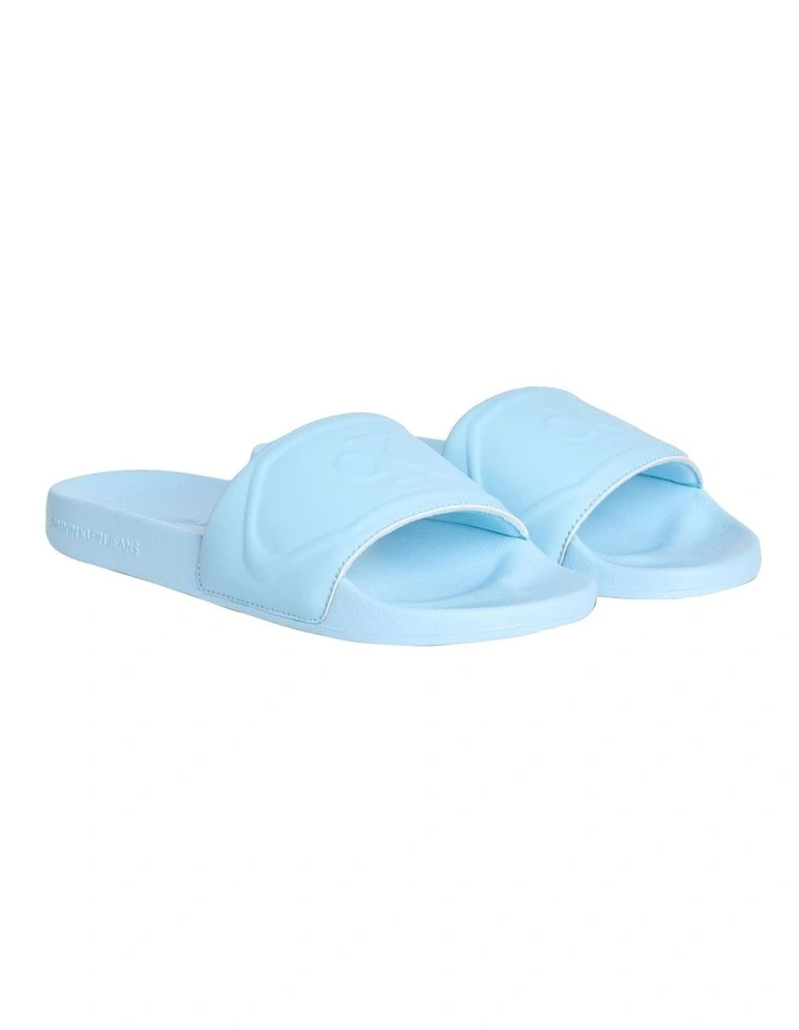 Logo Slides in Blue image 1