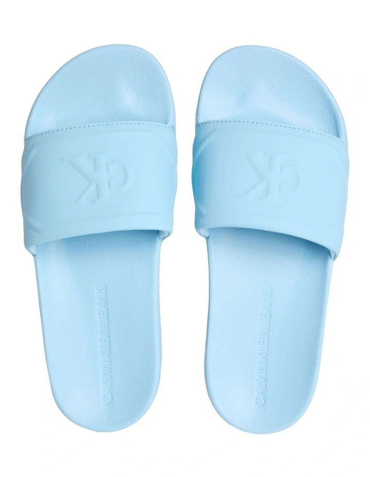 Logo Slides in Blue image 3