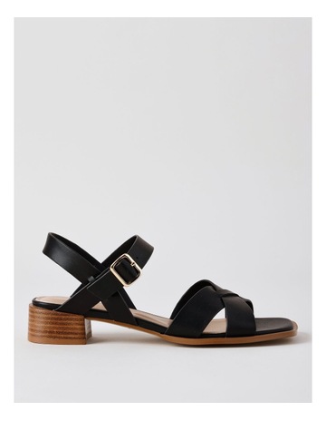 Black colour