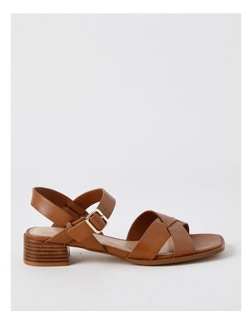 Tan colour