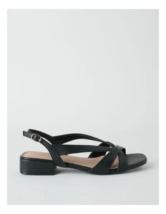 Janet Sandal in Black