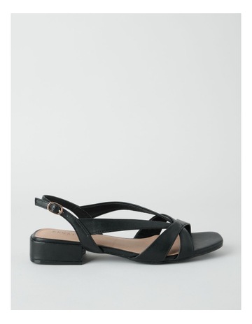 Black colour