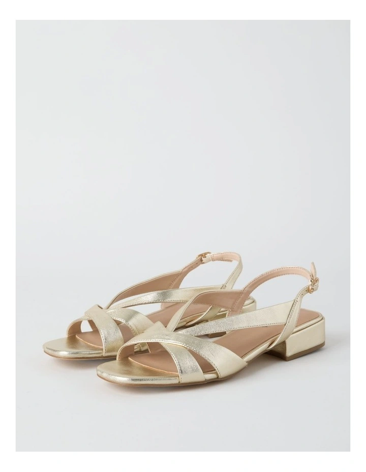 Janet Sandal in Gold image 3