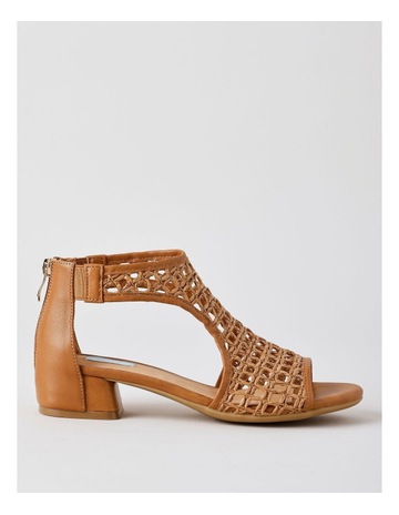 Tan colour