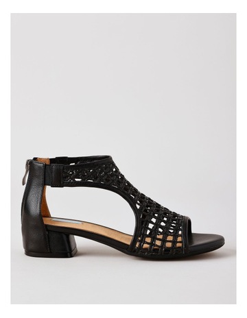 Black colour