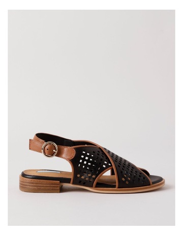 Black/Tan colour