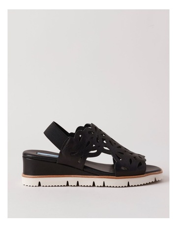 Black colour