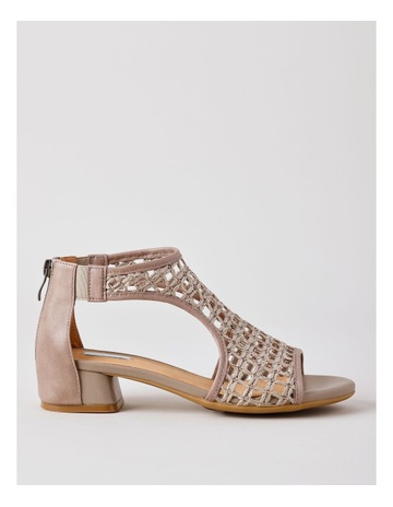 Taupe colour
