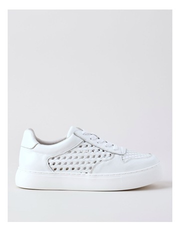 White colour