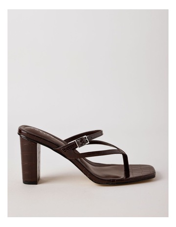 CHOCOLATE CROC colour