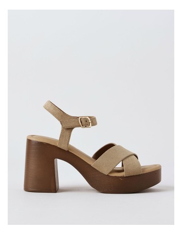 Light Taupe colour