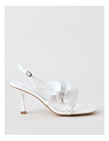 Bright White colour